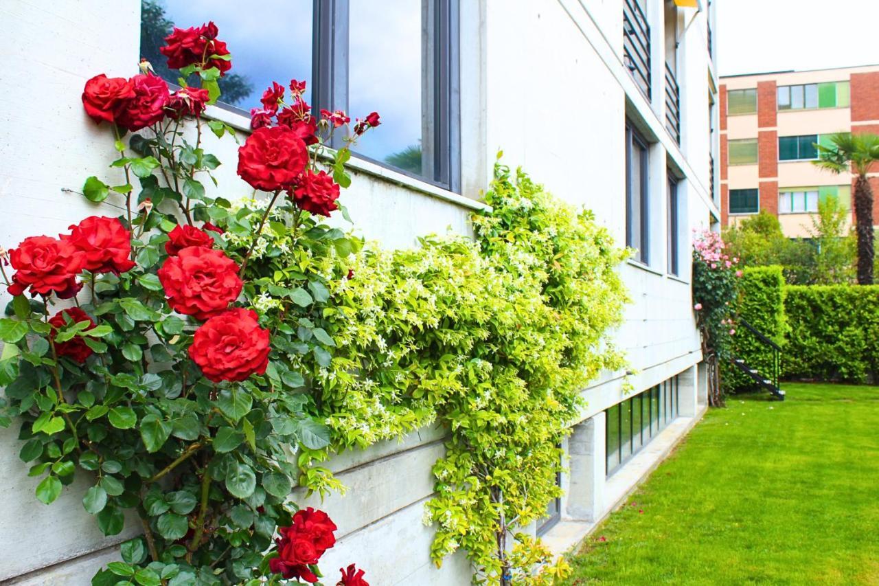 Hotel Nessi Locarno Ngoại thất bức ảnh