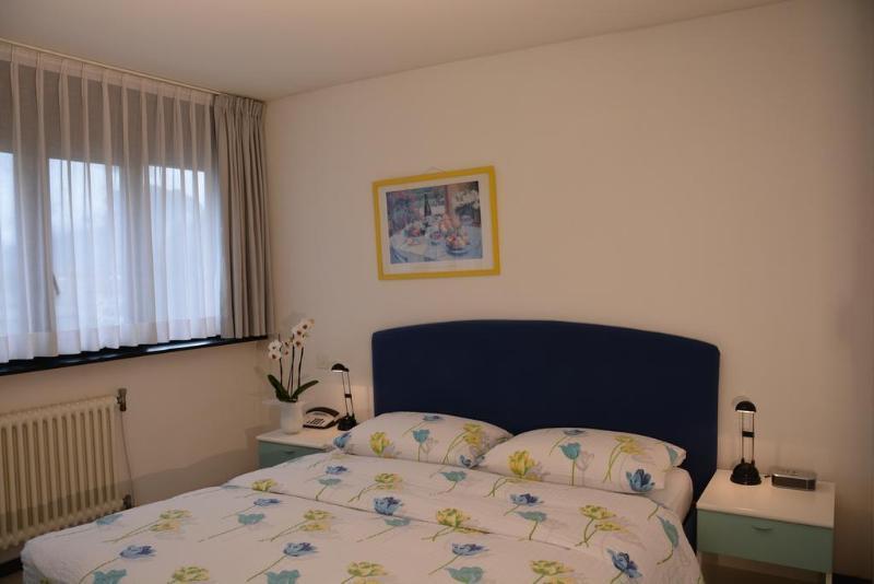 Hotel Nessi Locarno Ngoại thất bức ảnh